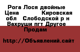 Рога Лося двойные › Цена ­ 5 000 - Кировская обл., Слободской р-н, Вахруши пгт Другое » Продам   